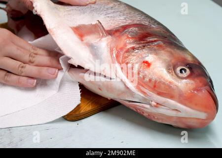 Cooking silver carp. cleaning ribs and blotting its insides with a napkin. Stock Photo