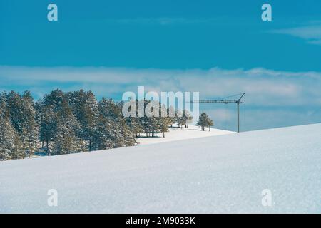Construction crane at the edge of the pine wood forest under snow in winter. Deforestation driven by housing development project engineering. Stock Photo