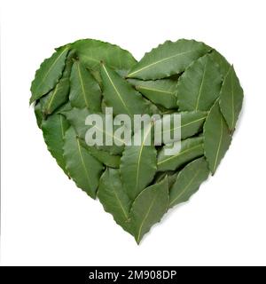Heart of fresh green bay leaves close up isolated on white background Stock Photo
