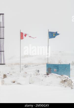 Tattered Canadian and Albertan flag on a snowy and windy day. Stock Photo