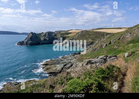 Prawle, August 2nd 2014: Camping at Prawle in the South Hams of Devon Stock Photo