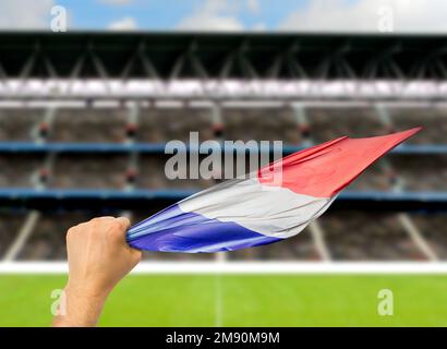 French fan holding the flag of France at stadium.International soccer event and World Cup Stock Photo