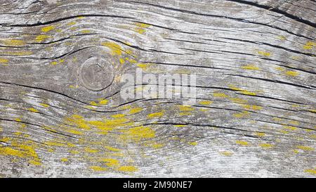 Old wooden background. Wood texture with natural pattern. Stock Photo