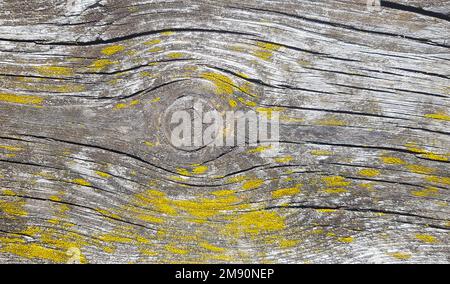 Old wooden background. Wood texture with natural pattern. Stock Photo