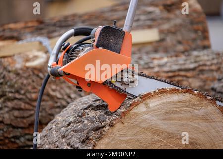 Woodcutter saws tree with electric chain saw on sawmill. Chainsaw used in activities such as tree felling, pruning, cutting firebreaks in wildland fir Stock Photo