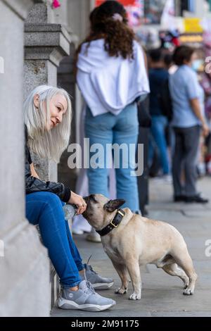 I woman giving a pet dog a drink of water from a bottle, Trafalgar Square, London, UK.  11 Sep 2022 Stock Photo