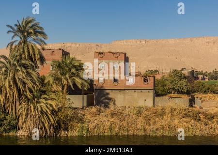Palms and houses near Sohag, Egypt Stock Photo - Alamy