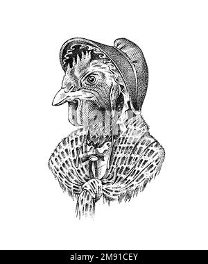 Chicken character with a scarf. Fashionable Aristocrat or Rich Man. Hand drawn cockerel. Engraved old monochrome sketch. Stock Vector