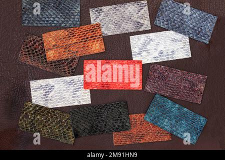 Set of samples of leather, embossed under exotic skin reptile, colorful pieces on dark background Stock Photo