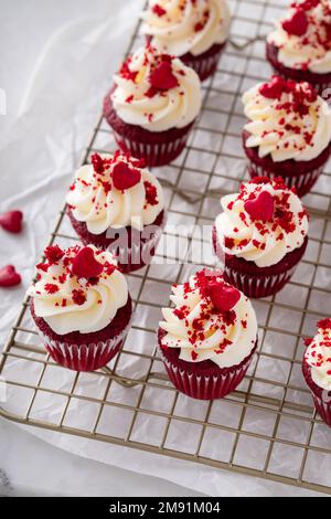 Red velvet cupcakes on a cooling rack Stock Photo