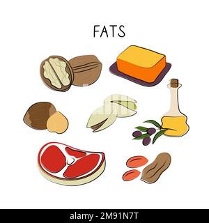 Fats-containing food. Groups of healthy products containing vitamins and minerals. Set of fruits, vegetables, meats, fish and dairy Stock Vector