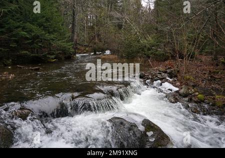 Chamcook Stream, New Brunswick, Canada Stock Photo