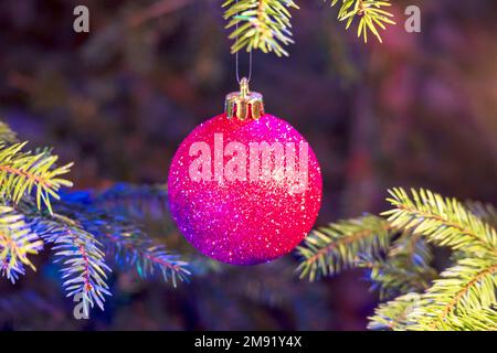 Christmas tree decoration ball in red color hung on a Christmas tree branch Stock Photo