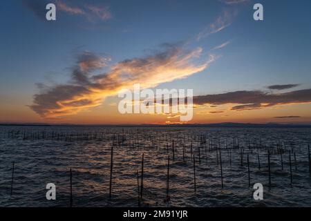 The Albufera is a freshwater lagoon, the largest in Spain. Valencia. Stock Photo