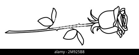 Scribble rose flower hand drawn with thin line Stock Vector