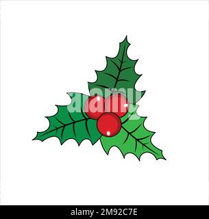 Holly vector illustration on white background Stock Vector