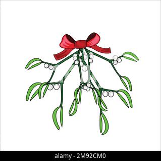 Holly vector illustration on white background Stock Vector