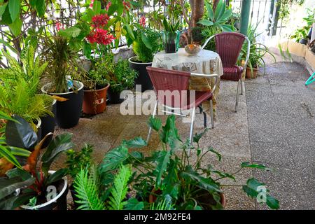 Enclosed outdoor patio with table and chairs all surrounded by green potted plants Stock Photo