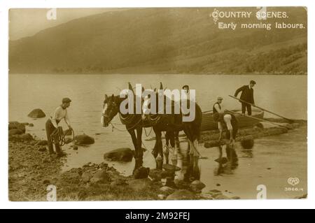 Original Edwardian era postcard of Country Scene,  agriculture /  lumberjacks, forestry workers with heavy horses logging along a lake, bringing logs into the shore. Text 'Country Scenes, Early Morning Labours'. Postcard is published by E.A. Schwerdtfeger & Co London, EC. dated / posted 1912 possibly Cumbria, England,  U.K. Stock Photo
