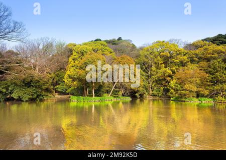 Japanese garden in the surroundings of Tsurugaoka Hachimangu Shrine, Kamakura, Kanagawa Prefecture, Greater Tokyo Area, Japan Stock Photo