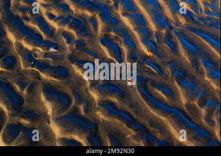 Abstract background of textured sandy beach with fallen autumn leaves in evening time Stock Photo