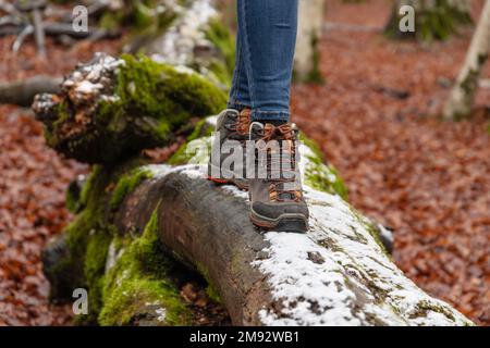 Crop person in sneakers and jeans standing on trunk of fallen tree covered with moss during stroll in autumn forest Stock Photo