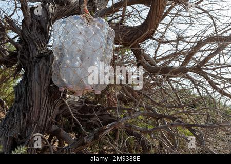 A sewing machine made of plastic bottles on the beach, the art of survival. Close-up Stock Photo