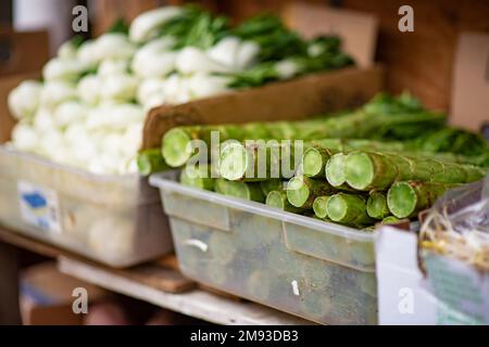 Long gren stalks of celtuce sold at the farmers market in Chinatown in San Francisco, California, USA Stock Photo