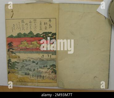 Livre imprimé japonais sur bois « Keisai Rokuga vol.2