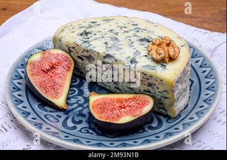 Cheese collection, piece of French blue cheese auvergne or fourme d'ambert close up Stock Photo