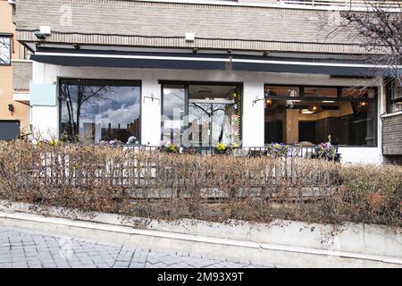 Local at street level with deciduous hedge on a winter day Stock Photo