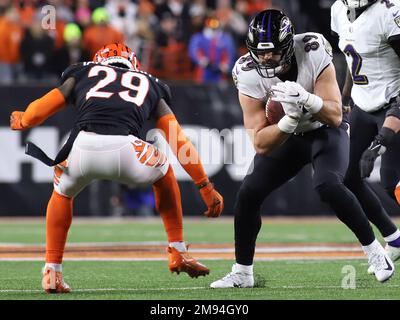 Cincinnati, Ohio, USA. 15th Jan, 2023. Cincinnati Bengals WR Tee Higgins  during an NFL wild card playoff football game between the Cincinnati Bengals  and the Baltimore Ravens in Cincinnati, Ohio. Kevin Schultz/CSM/Alamy