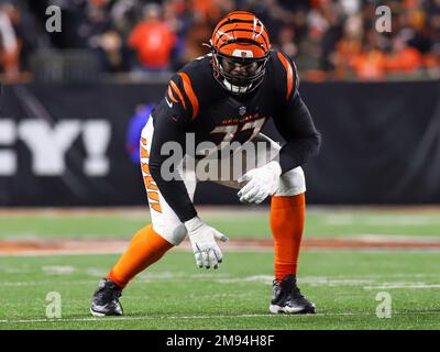 January 15, 2023: Cincinnati Bengals LB Logan Wilson celebrateâ€™s Hayden  Hurst fumble return during an NFL wild card playoff football game between  the Cincinnati Bengals and the Baltimore Ravens at Paycor Stadium