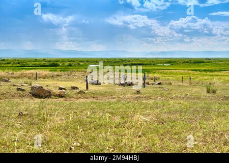 Ritual hitching posts in the Buryat steppe on the way to the Barguzin Datsan The Face of the Goddess Yanzhima Stock Photo