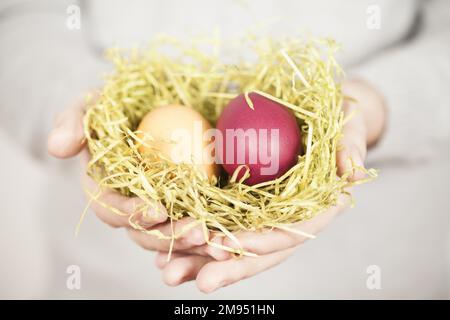 Hands holding Easter nest with two Easter eggs Stock Photo