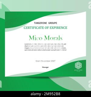 Modern and Creative experience letter template vector design Stock Vector