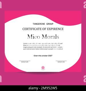 Modern and Creative experience letter template vector design Stock Vector