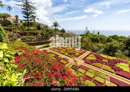 Flowers and plants in botanical garden of Funchal travel on Madeira island in Portugal Stock Photo