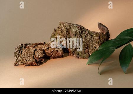 nature composition eco display wood bark leaves Stock Photo