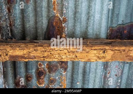 Rusty tin corrugated tin fence and rotted wooden top rail Stock Photo ...
