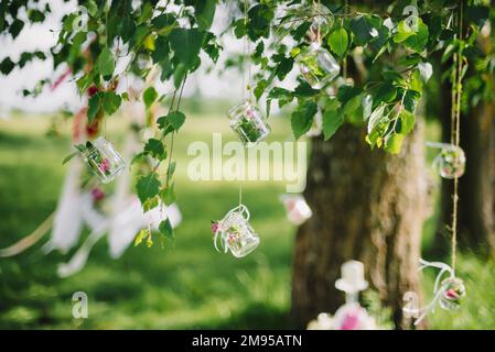 wedding decor jars with flowers hanging on the ropes on the branches of a birch in summer Stock Photo