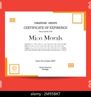 Modern and Creative experience letter template vector design Stock Vector