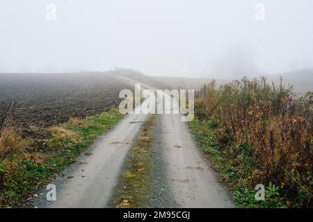 The former Skreiabanen Railroad westward from Lena village on a foggy autumn evening in Toten, Norway Stock Photo