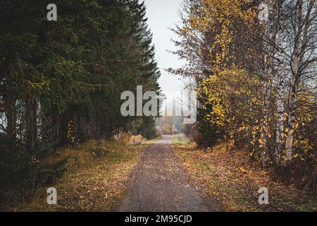 The former Skreiabanen Railroad westward from Lena village on a foggy autumn evening in Toten, Norway Stock Photo