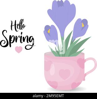 Spring bouquet with Crocus flower. Purple saffron in cup. hello spring. Vector illustration in flat style for postcards, design, print, decor, covers Stock Vector