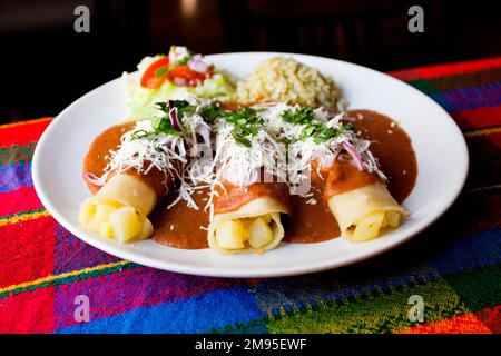 Flautilla mejicana. Mexican snacks with mole sauce. Stock Photo