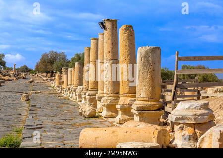 Roman road of Umm Qais in northern Jordan. It is located in the north-west of the country Stock Photo