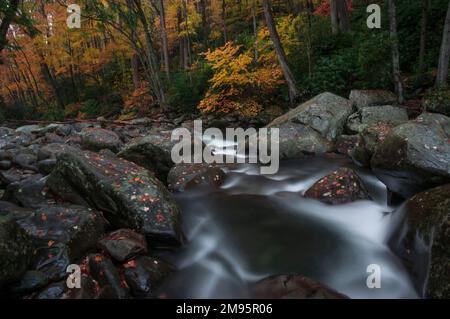A long exposure shot of a river lined with colorful autumn trees in the beautiful Great Smoky Mountains in Tennessee Stock Photo
