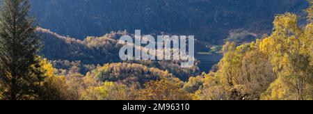 Birch woodland and Loch Katrine in autumn, view from  Ben A'an, Loch Lomand and Trossachs National Park, Scotland Stock Photo