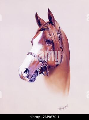 A highly detailed portrait painting of a horse by Malcolm Greensmith. Stock Photo